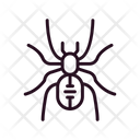 پیش‌نمایش فایل spider-6419143 از پک فروشگاه حیوانات خانگی