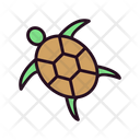 پیش‌نمایش فایل turtle-6419158 از پک فروشگاه حیوانات خانگی
