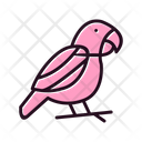 پیش‌نمایش فایل parrot-6419199 از پک فروشگاه حیوانات خانگی
