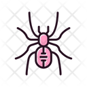 پیش‌نمایش فایل spider-6419193 از پک فروشگاه حیوانات خانگی