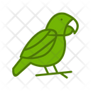 پیش‌نمایش فایل parrot-6419224 از پک فروشگاه حیوانات خانگی