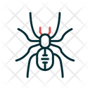 پیش‌نمایش فایل spider-6419268 از پک فروشگاه حیوانات خانگی