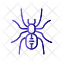 پیش‌نمایش فایل spider-6419305 از پک فروشگاه حیوانات خانگی