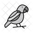 پیش‌نمایش فایل parrot-6419322 از پک فروشگاه حیوانات خانگی
