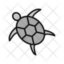 پیش‌نمایش فایل turtle-6419331 از پک فروشگاه حیوانات خانگی