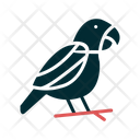 پیش‌نمایش فایل parrot-6419374 از پک فروشگاه حیوانات خانگی