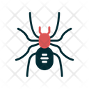 پیش‌نمایش فایل spider-6419368 از پک فروشگاه حیوانات خانگی