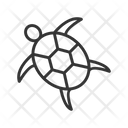 پیش‌نمایش فایل turtle-6419408 از پک فروشگاه حیوانات خانگی