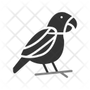 پیش‌نمایش فایل parrot-6419449 از پک فروشگاه حیوانات خانگی