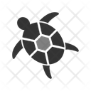 پیش‌نمایش فایل turtle-6419433 از پک فروشگاه حیوانات خانگی
