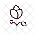 پیش‌نمایش فایل flower-6488476 از پک بهار