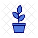 پیش‌نمایش فایل flower-pot-6488662 از پک بهار