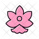 پیش‌نمایش فایل blossom-6488551 از پک بهار