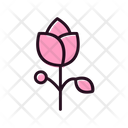 پیش‌نمایش فایل flower-6488563 از پک بهار