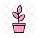 پیش‌نمایش فایل flower-pot-6488562 از پک بهار