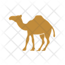 پیش‌نمایش فایل camel-11538124 از پک حیوانات