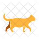 پیش‌نمایش فایل cat-11538125 از پک حیوانات