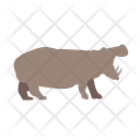 پیش‌نمایش فایل hippopotamus-11538134 از پک حیوانات