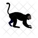 پیش‌نمایش فایل monkey-11725326 از پک حیوانات