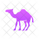 پیش‌نمایش فایل camel-11725545 از پک حیوانات