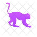 پیش‌نمایش فایل monkey-11725560 از پک حیوانات
