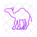 پیش‌نمایش فایل camel-11725609 از پک حیوانات