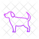 پیش‌نمایش فایل dog-security-11725614 از پک حیوانات