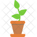 پیش‌نمایش فایل plant-12151469 از پک لوازم خانگی