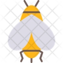 پیش‌نمایش فایل bees-12206189 از پک طبیعت