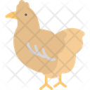 پیش‌نمایش فایل chicken-12206181 از پک طبیعت