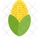 پیش‌نمایش فایل corn-12206175 از پک طبیعت