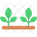 پیش‌نمایش فایل garden-12206149 از پک طبیعت