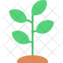 پیش‌نمایش فایل plant-12206140 از پک طبیعت