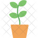 پیش‌نمایش فایل plant-12206152 از پک طبیعت