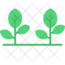 پیش‌نمایش فایل plant-12206168 از پک طبیعت