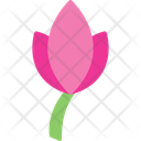 پیش‌نمایش فایل bloom-12321426 از پک سبک زندگی