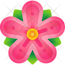 پیش‌نمایش فایل flower-7862363 از پک کارناوال