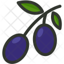پیش‌نمایش فایل olives از پک غذا 4