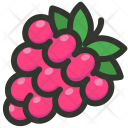 پیش‌نمایش فایل raspberry-15 از پک غذا 4