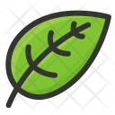 پیش‌نمایش فایل green-49 از پک غذا 5