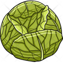 پیش‌نمایش فایل cabbage-6939838 از پک سبزیجات