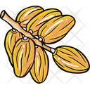 پیش‌نمایش فایل date-palm-7808972 از پک رمضان