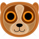 پیش‌نمایش فایل slow-lorises-10492507 از پک چهره حیوان
