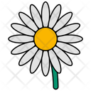 پیش‌نمایش فایل daisies-flower-11343532 از پک روز عید پاک