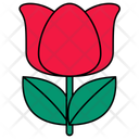 پیش‌نمایش فایل tulip-flower-11343531 از پک روز عید پاک