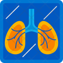 پیش‌نمایش فایل xray-11615129 از پک پزشکی