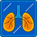 پیش‌نمایش فایل xray-11613807 از پک پزشکی