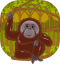 پیش‌نمایش فایل tanjung-puting-national-park-6263251 از پک سفر اندونزی