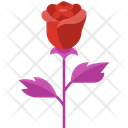 پیش‌نمایش فایل rose-3224791 از پک روز ولنتاین