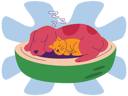 پیش‌نمایش فایل dog-and-cat-sleeping-together-5009029 از پک حیوانات خانگی